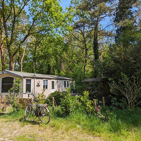 Ruim Chalet, Midden In Het Bos! Nunspeet Exterior foto